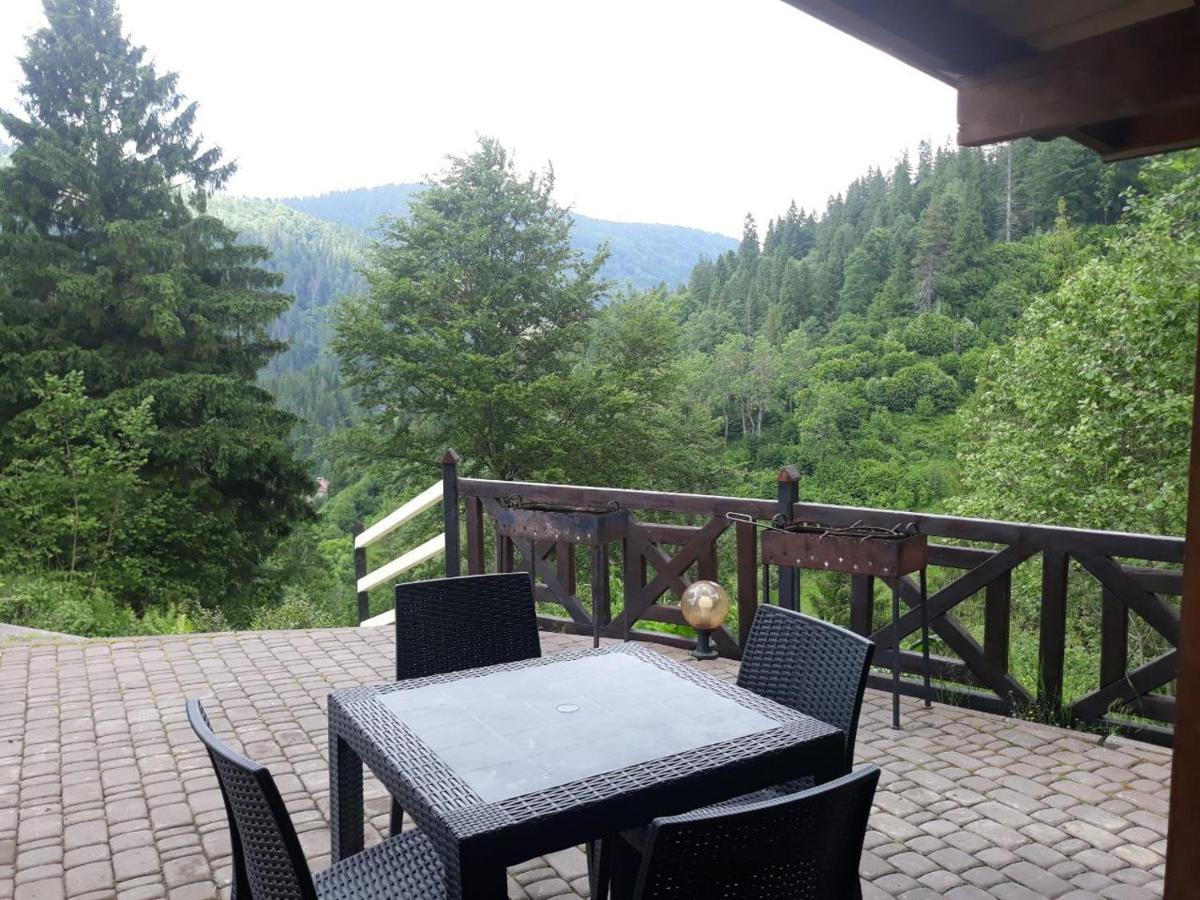 Villa Alpiyka Slavsko Extérieur photo